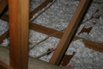 IMG_1521, Unit G Matting, Squirrel Feces.JPG